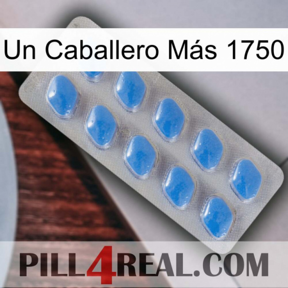 Un Caballero Más 1750 22.jpg